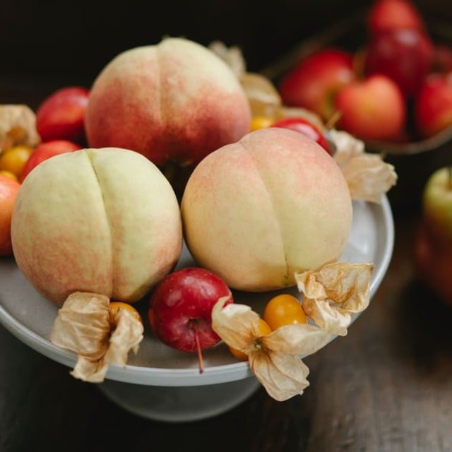 Japanese Crown Melon